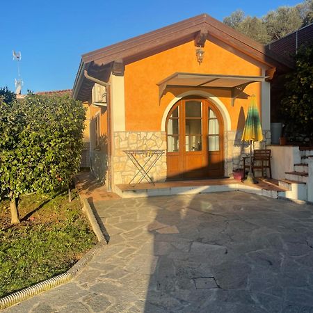 Monolocale Apartment Massarosa Bagian luar foto